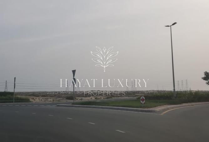 16131811 - Property Image 3