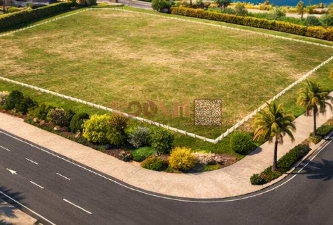 16204589 - Property Image 3