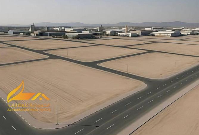 16265201 - Property Image 2