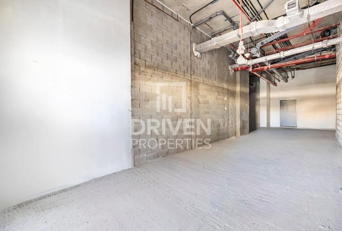 16180482 - Property Image 3