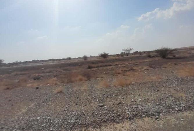 16234636 - صورة العقار 3