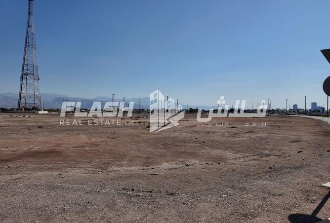 16273517 - صورة العقار 3