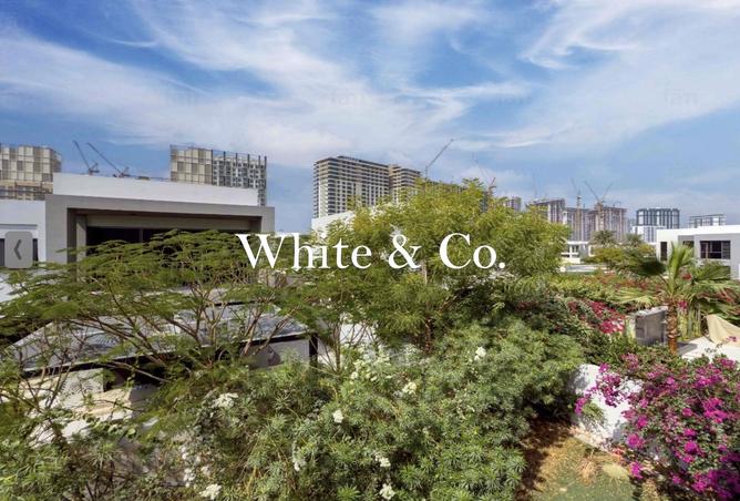 62778201 - Property Image 3