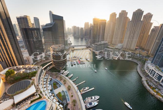 16242586 - صورة العقار 3