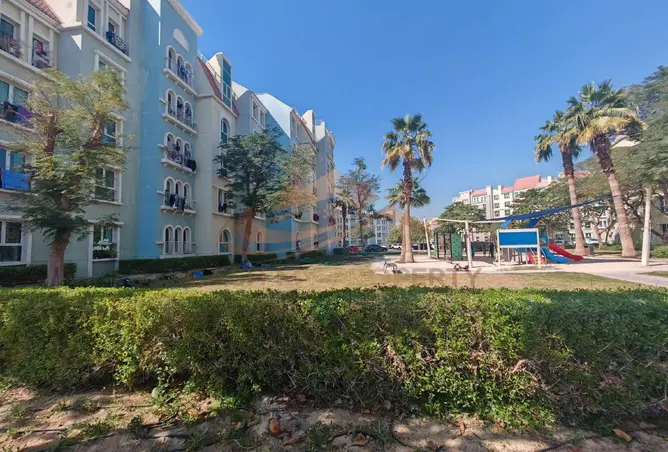 155581481 - Property Image 3