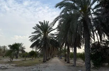 Farm - Studio for sale in Al Bahya - Abu Dhabi