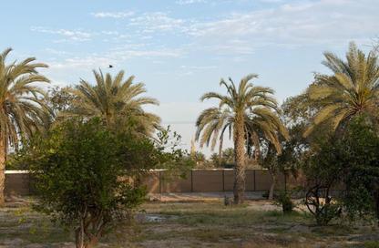 Farm - Studio for sale in Al Bahya - Abu Dhabi