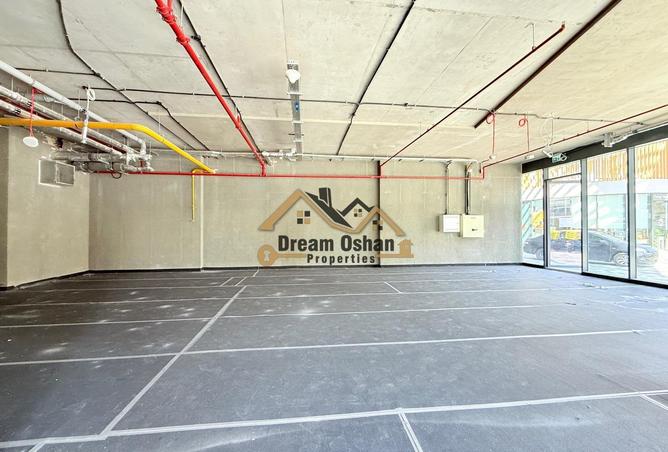 114597348 - Property Image 2