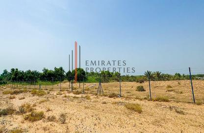 Land - Studio for sale in Al Helio 1 - Al Helio - Ajman