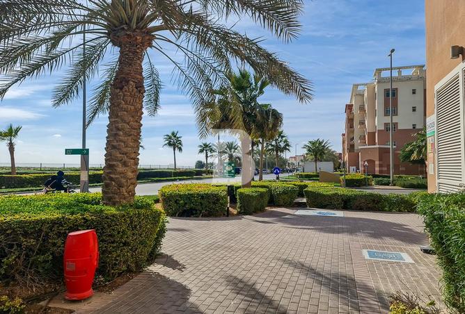 16169545 - Property Image 2