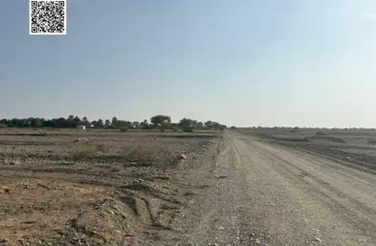 أرض - استوديو للبيع في المنامة - عجمان
