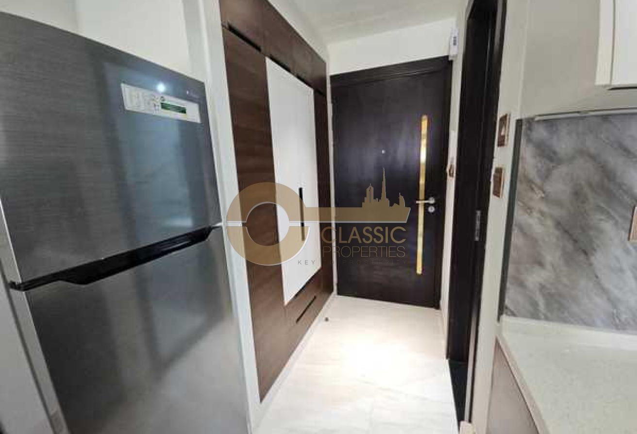 SPACIOUS STUDIO | FULLY FURNISHED | MID FLOOR UNIT photo 8
