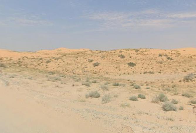 85326061 - صورة العقار 2