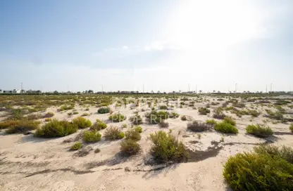 Land - Studio for sale in Saih Shuiab House - Jebel Ali Hills - Saih Shuaib 1 - Jebel Ali - Dubai