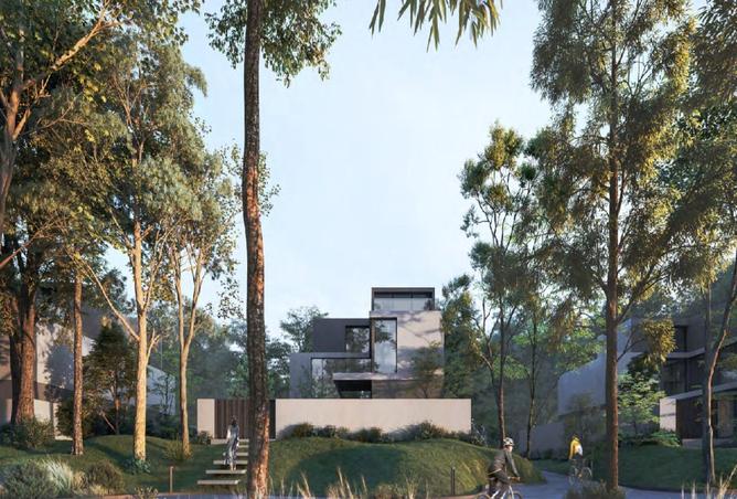 104269487 - Property Image 3