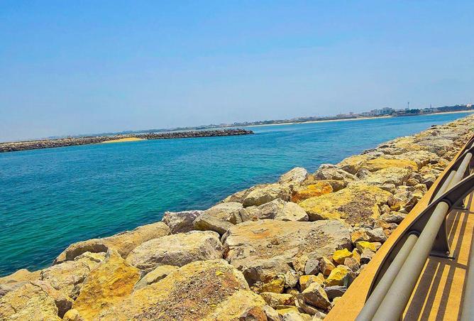 80279755 - Property Image 3