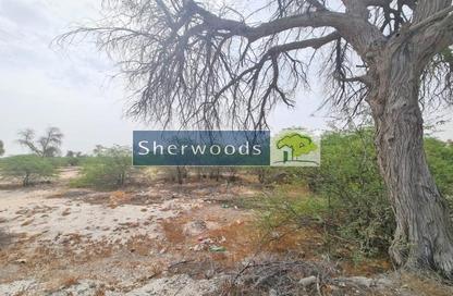 Land - Studio for sale in Mudfak - Ras Al Khaimah