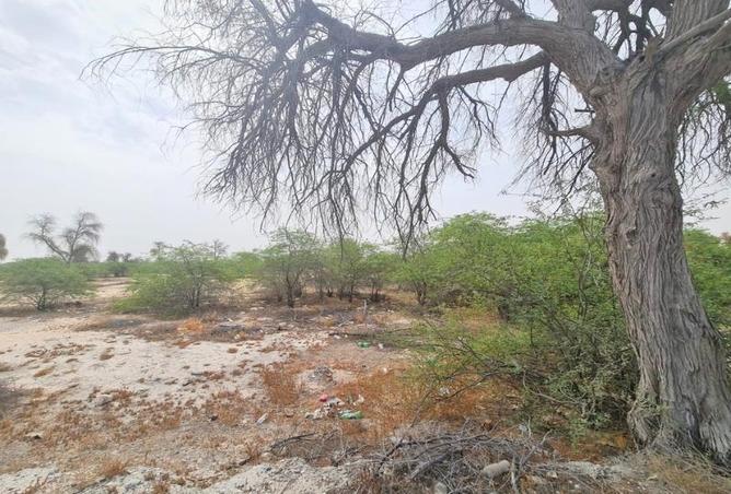 51169664 - صورة العقار 3