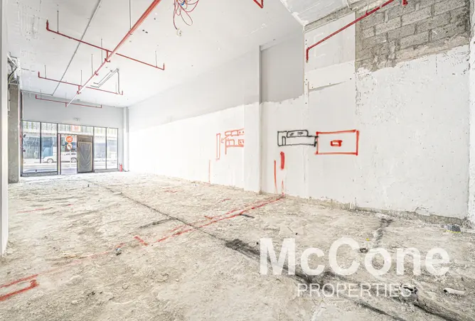 166524107 - Property Image 3