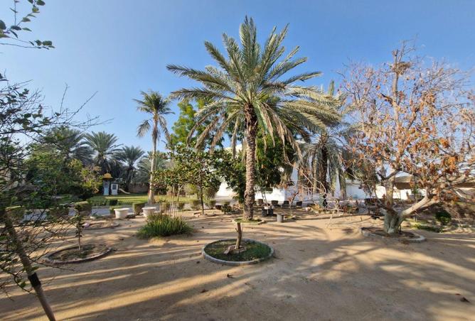 16047278 - صورة العقار 3