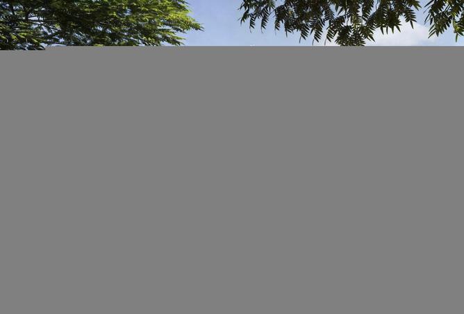 81956255 - صورة العقار 2