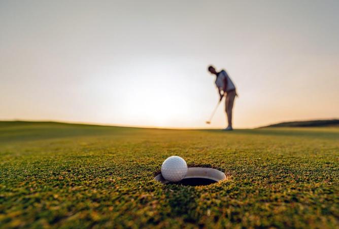 68686573 - Property Image 2