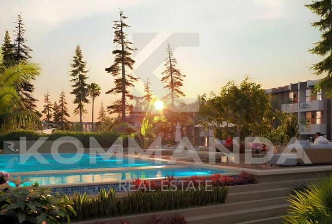 56981891 - Property Image 3