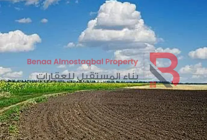 104260576 - صورة العقار 2
