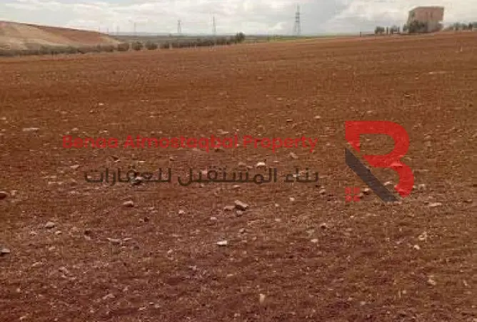 104260576 - صورة العقار 3