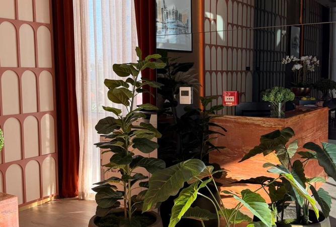 16287081 - Property Image 2