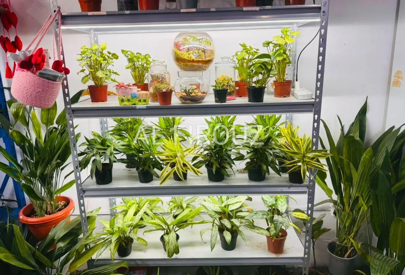 160083093 - Property Main Image