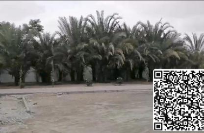 مزرعة - استوديو للبيع في المنامة - عجمان