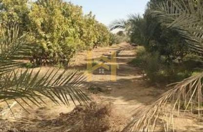 Land - Studio for rent in Al Helio 1 - Al Helio - Ajman
