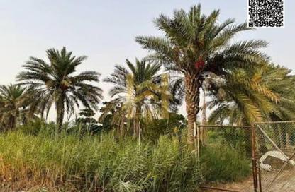 Land - Studio for rent in Al Helio 1 - Al Helio - Ajman