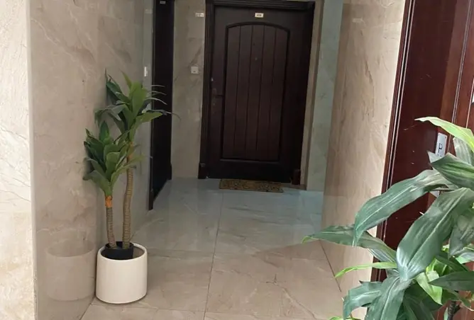 147336342 - Property Image 3