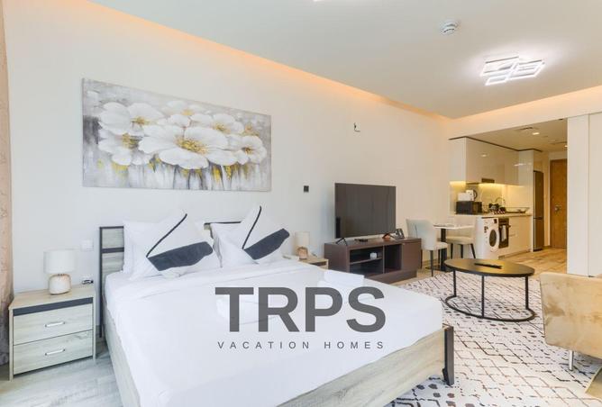 16243856 - Property Image 2