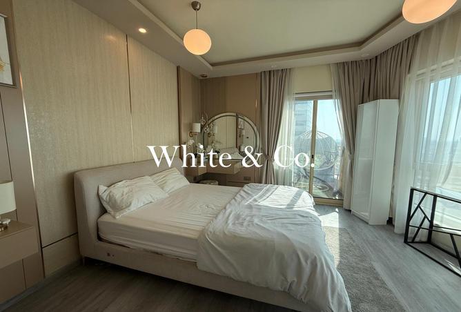 16243787 - Property Image 3