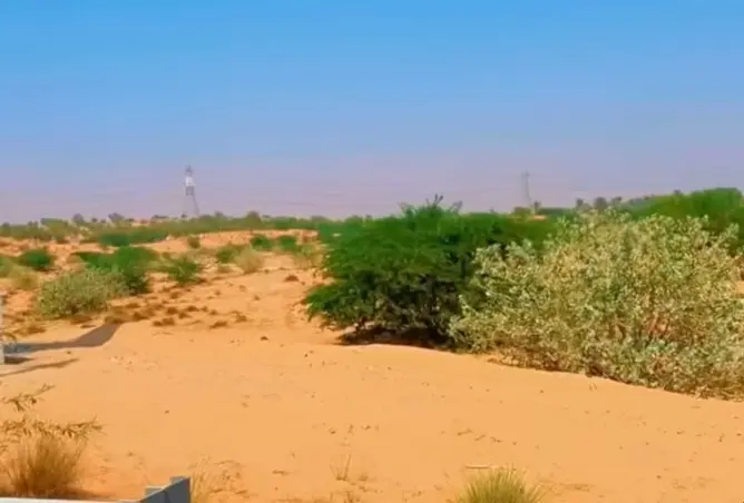 155075307 - صورة العقار 3