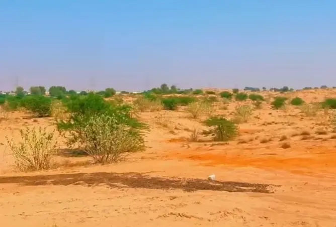 155075307 - صورة العقار 2