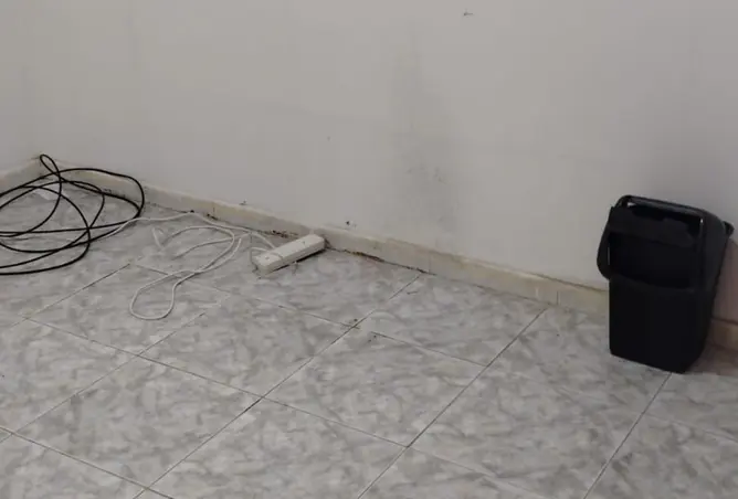 147335196 - Property Image 3