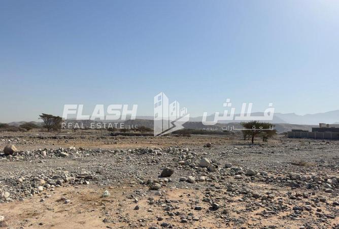 138326912 - Property Image 2