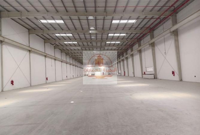 16272266 - Property Image 3