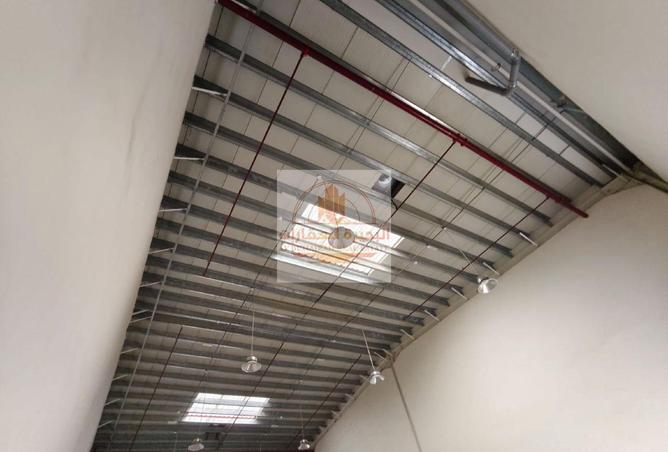 16090025 - صورة العقار 3