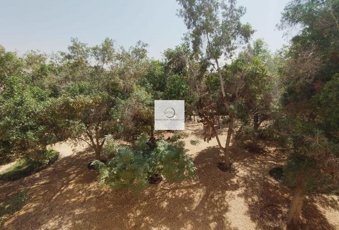 67429712 - صورة العقار 3