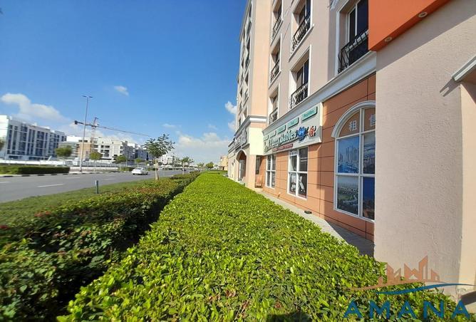 16256991 - Property Image 2