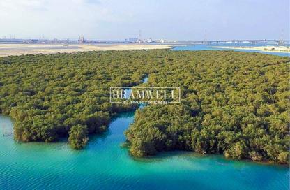 Apartment - 2 Bedrooms - 3 Bathrooms for rent in Al Qurm View - Shams Abu Dhabi - Al Reem Island - Abu Dhabi Apartment - 2 Bedrooms - 3 Bathrooms for rent in Al Qurm View - Shams Abu Dhabi - Al Reem Island - Abu Dhabi