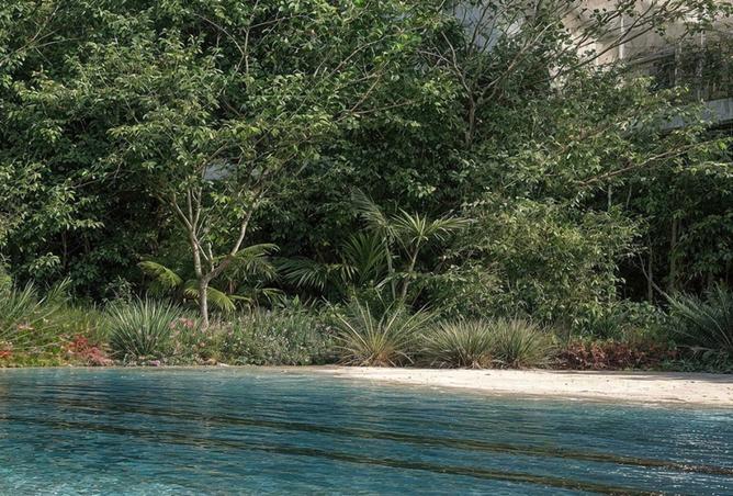 15954502 - صورة العقار 2