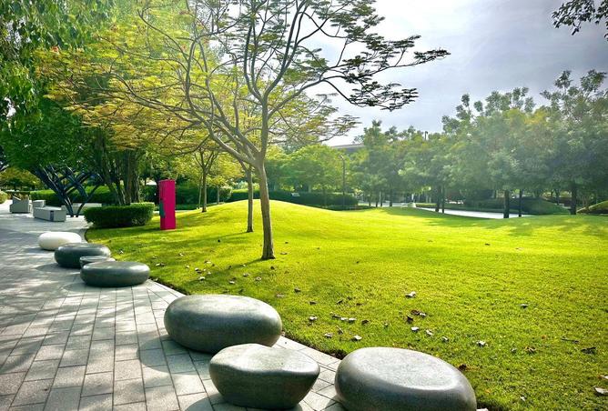 16319647 - صورة العقار 2