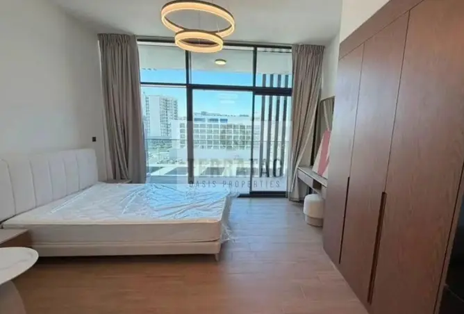 147791950 - Property Image 3
