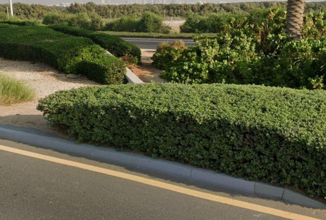 81926788 - صورة العقار 2